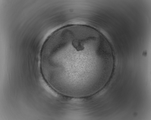 X0000113290840200909211102