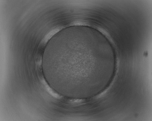 X0000113290841200909211102