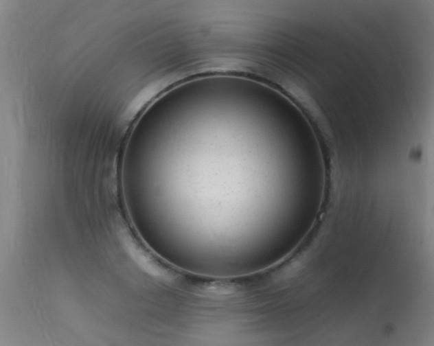 X0000113290842200909211102