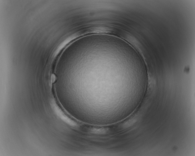 X0000113290843200909211102