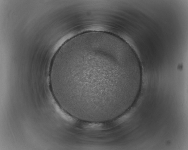 X0000113290845200909211102