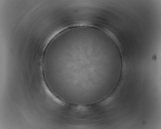 X0000113290847200909211102