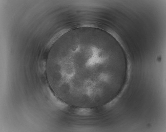 X0000113290849200909211102