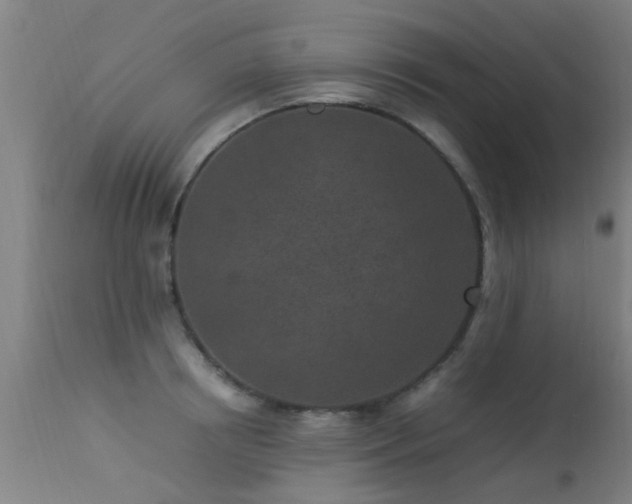 X0000113290850200909211102