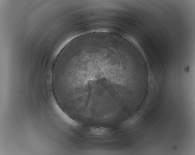 X0000113290851200909211102