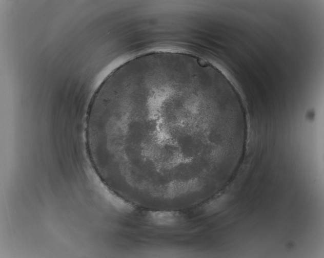 X0000113290853200909211102