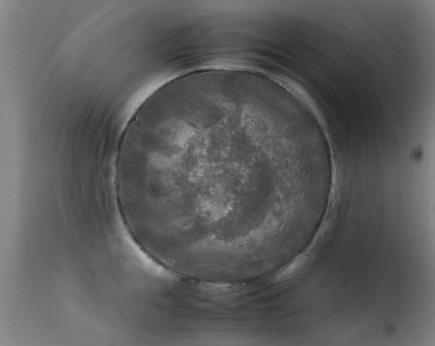 X0000113290855200909211102