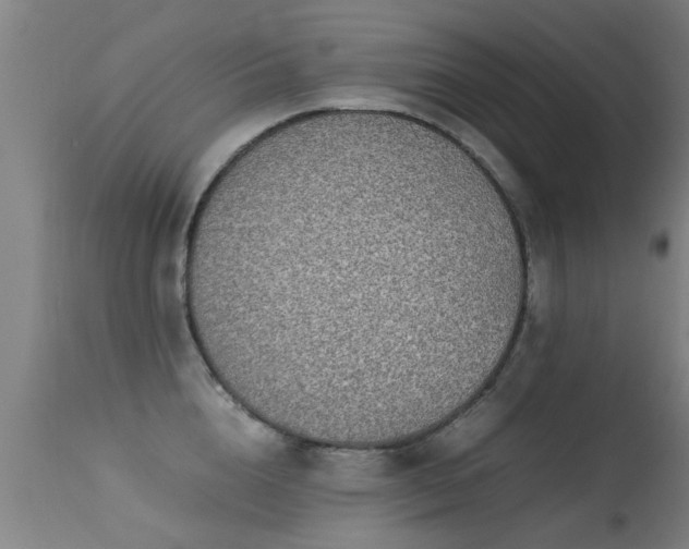 X0000113290856200909211102