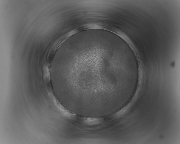 X0000113290857200909211102