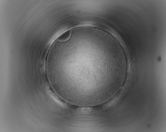 X0000113290858200909211102