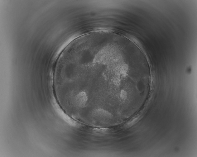 X0000113290859200909211102