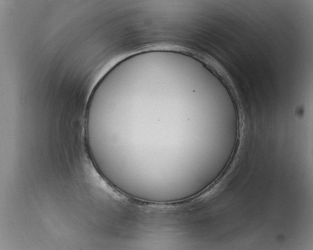 X0000113290860200909211102