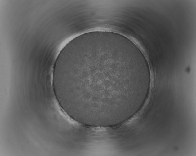 X0000113290862200909211102