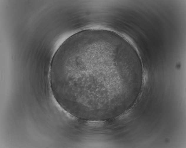 X0000113290863200909211102