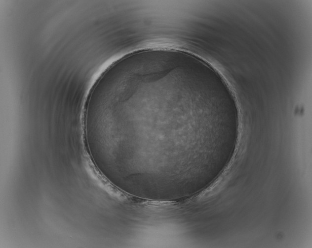 X0000113290864200909211102