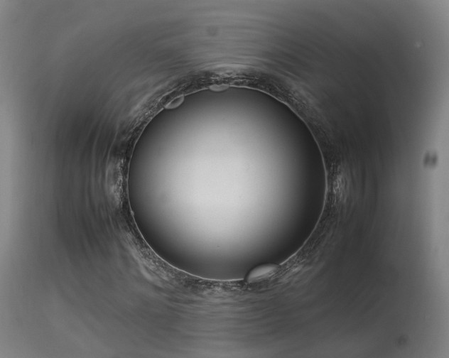 X0000113290868200909211101