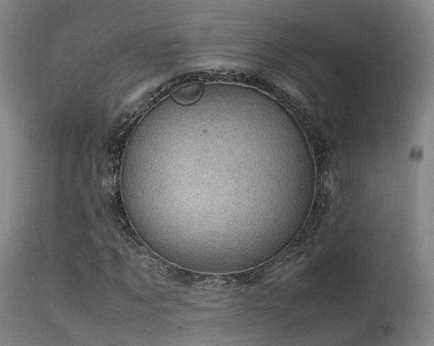 X0000113290869200909211101