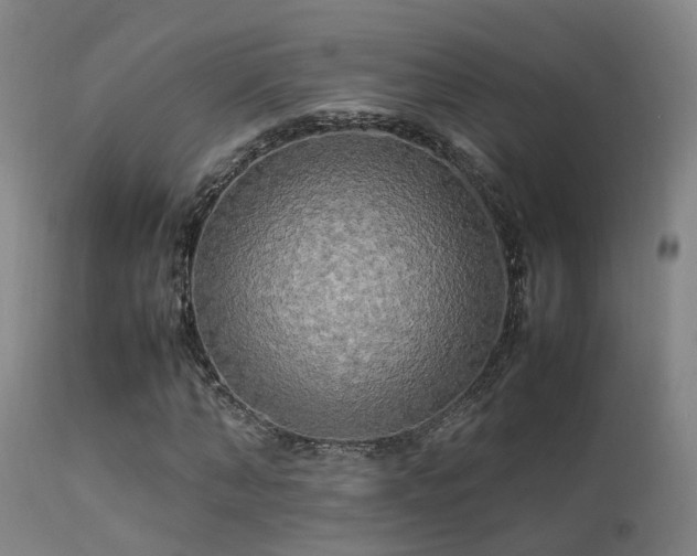 X0000113290870200909211101