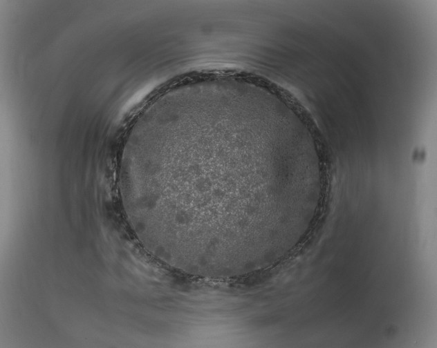 X0000113290871200909211101