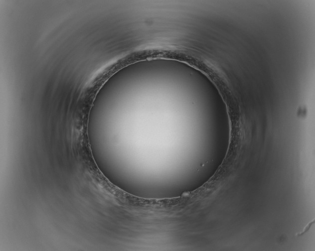 X0000113290872200909211101