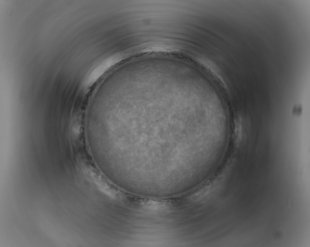 X0000113290874200909211101