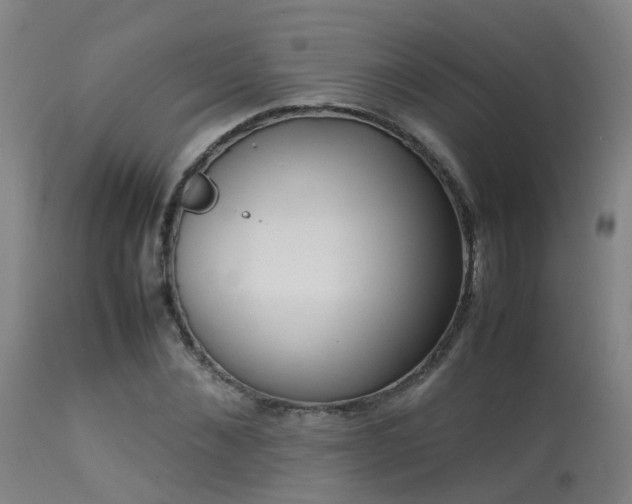 X0000113290876200909211101