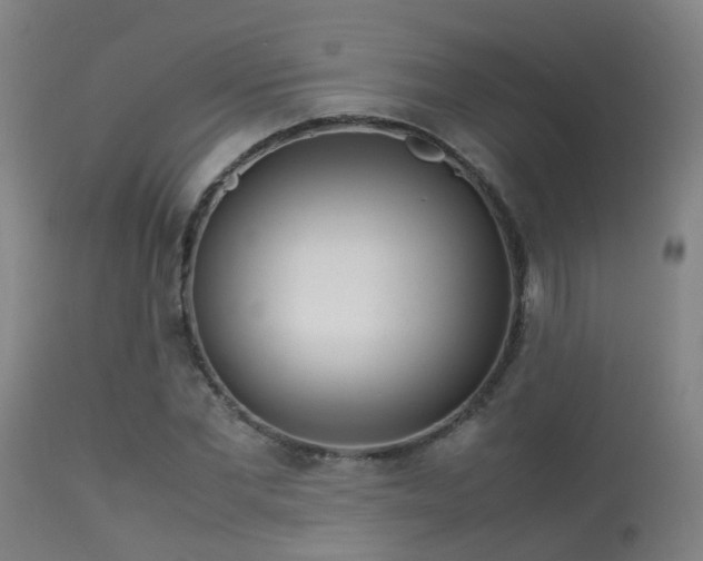 X0000113290877200909211101