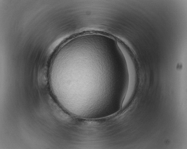 X0000113290878200909211101