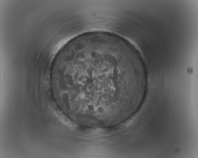 X0000113290879200909211101