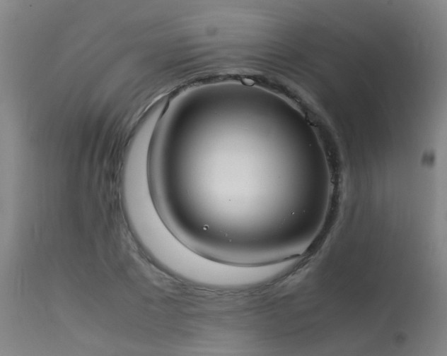 X0000113290881200909211101