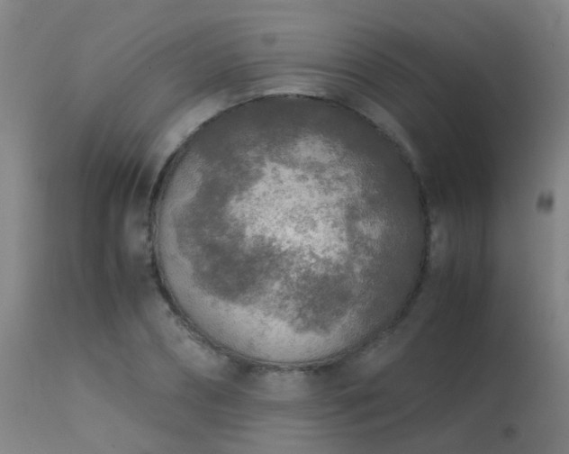 X0000113290882200909211101