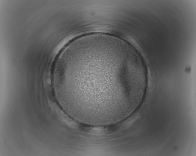 X0000113290883200909211101