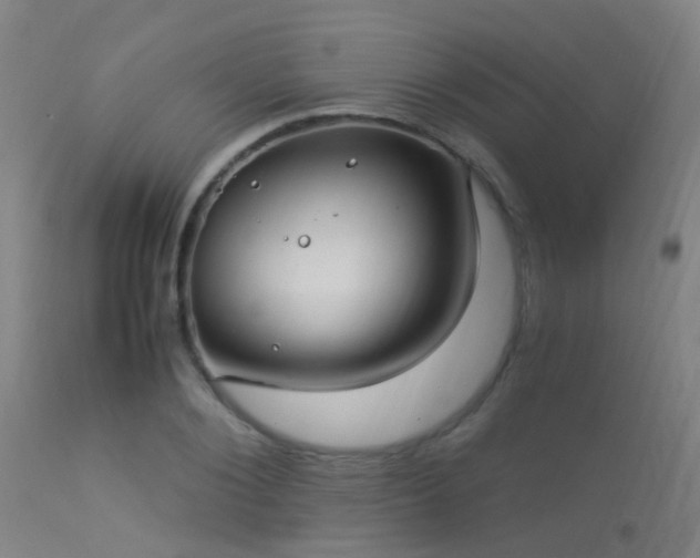 X0000113290884200909211101