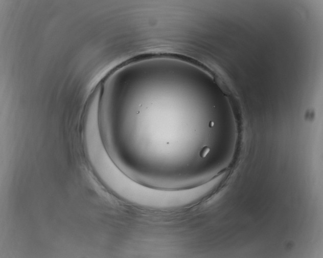 X0000113290885200909211101