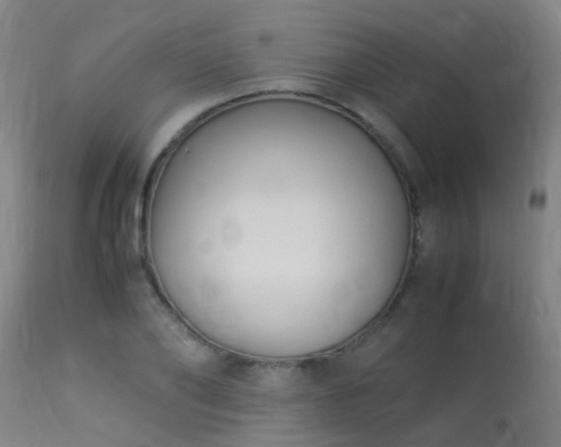 X0000113290886200909211101