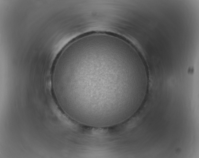 X0000113290887200909211101