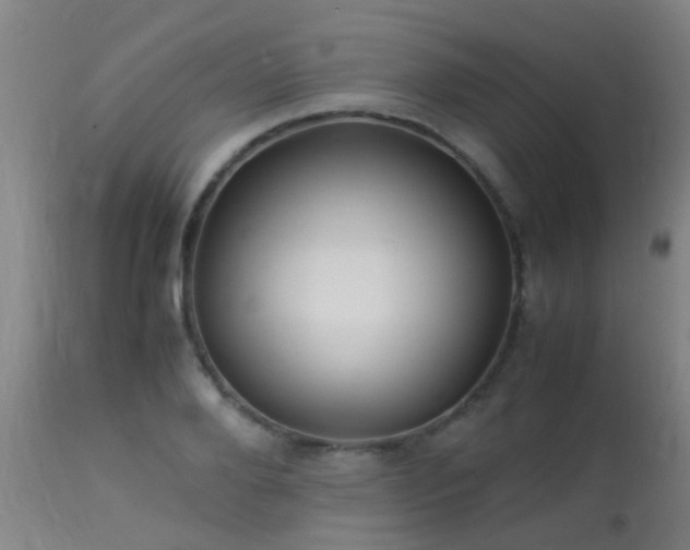 X0000113290888200909211101