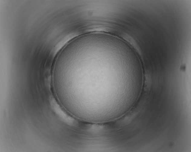 X0000113290890200909211101