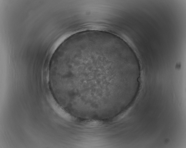 X0000113290891200909211101