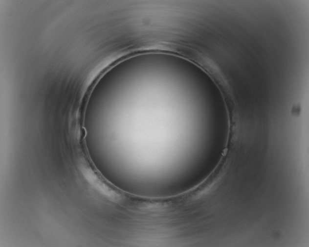 X0000113290892200909211101