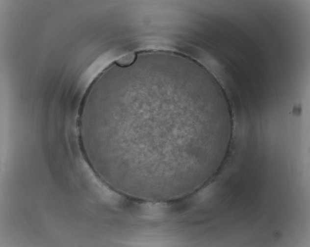 X0000113290893200909211101