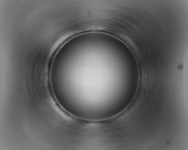 X0000113290894200909211101