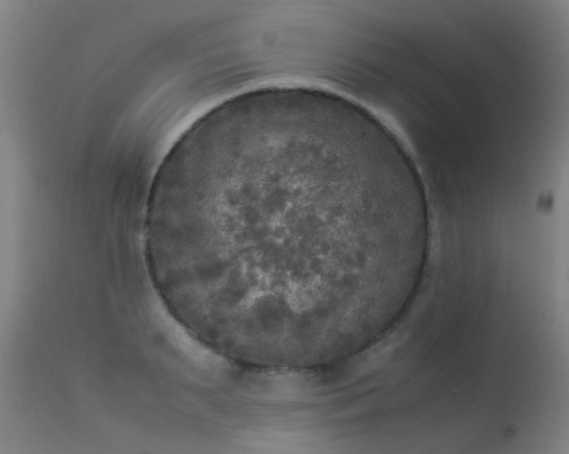 X0000113290895200909211101