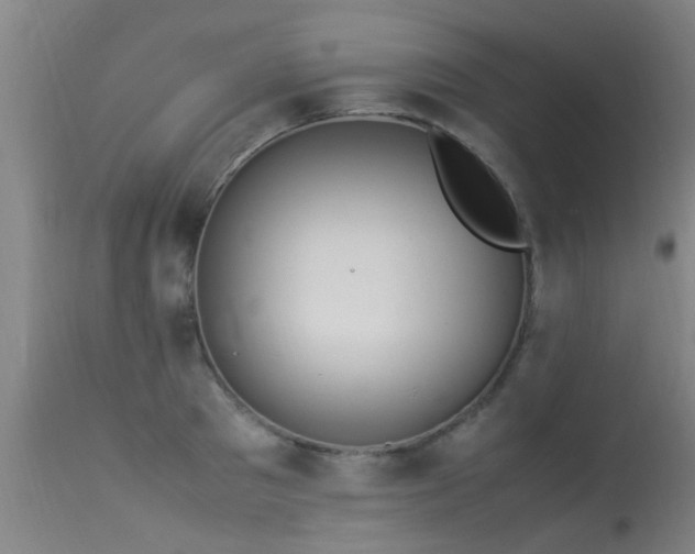 X0000113290897200909211101