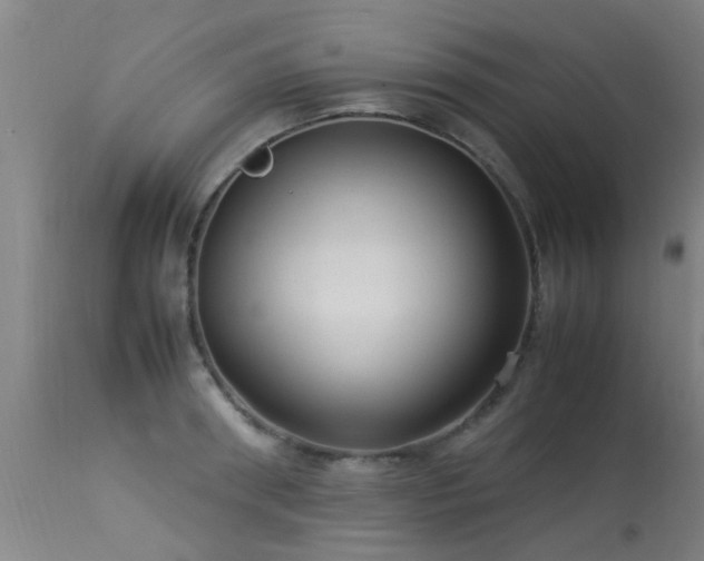 X0000113290898200909211101