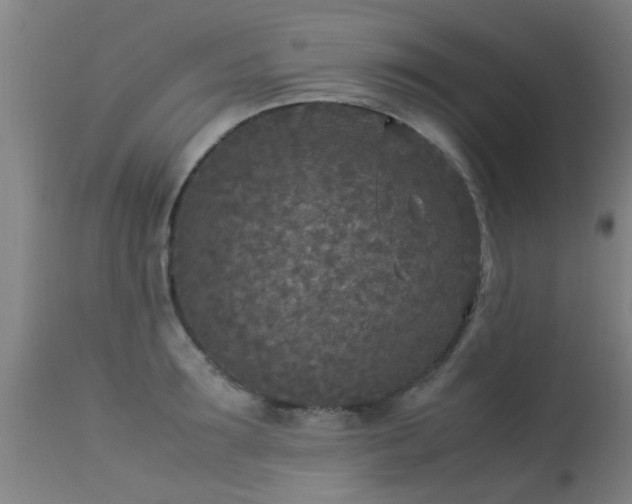 X0000113290899200909211101