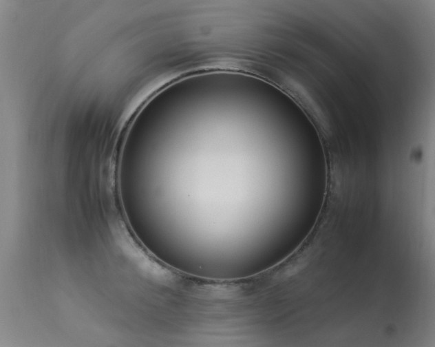 X0000113290900200909211101