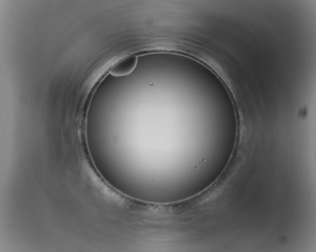 X0000113290901200909211101