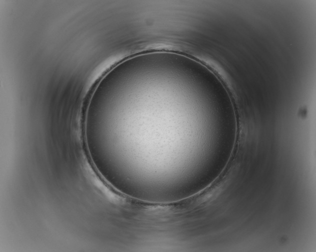 X0000113290902200909211101