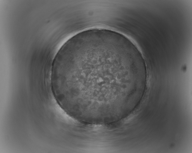 X0000113290903200909211101